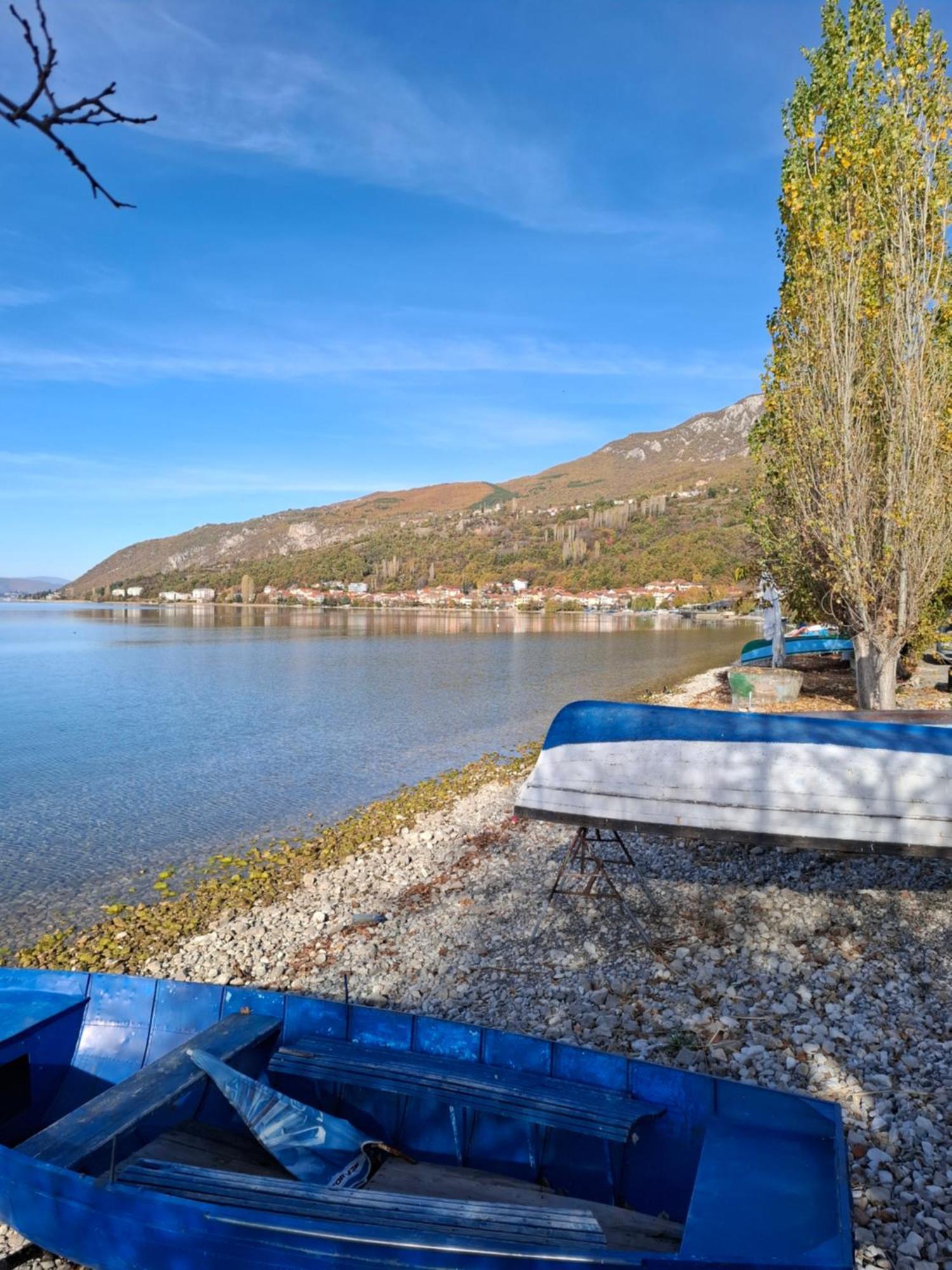 Apartments Villa Boris Ohrid Bilik gambar