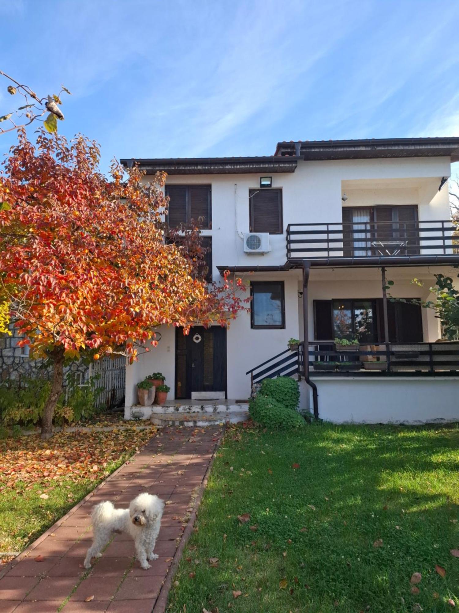 Apartments Villa Boris Ohrid Bilik gambar