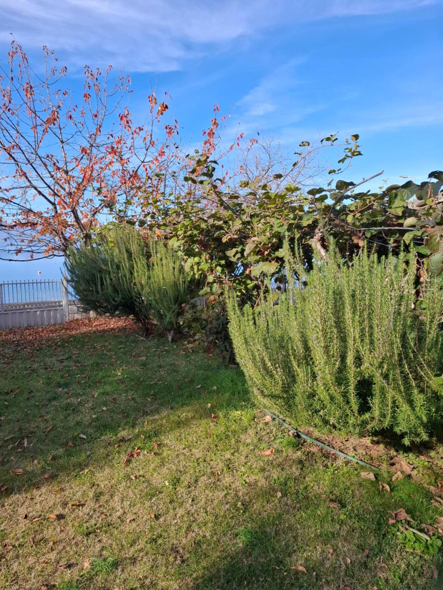 Apartments Villa Boris Ohrid Luaran gambar