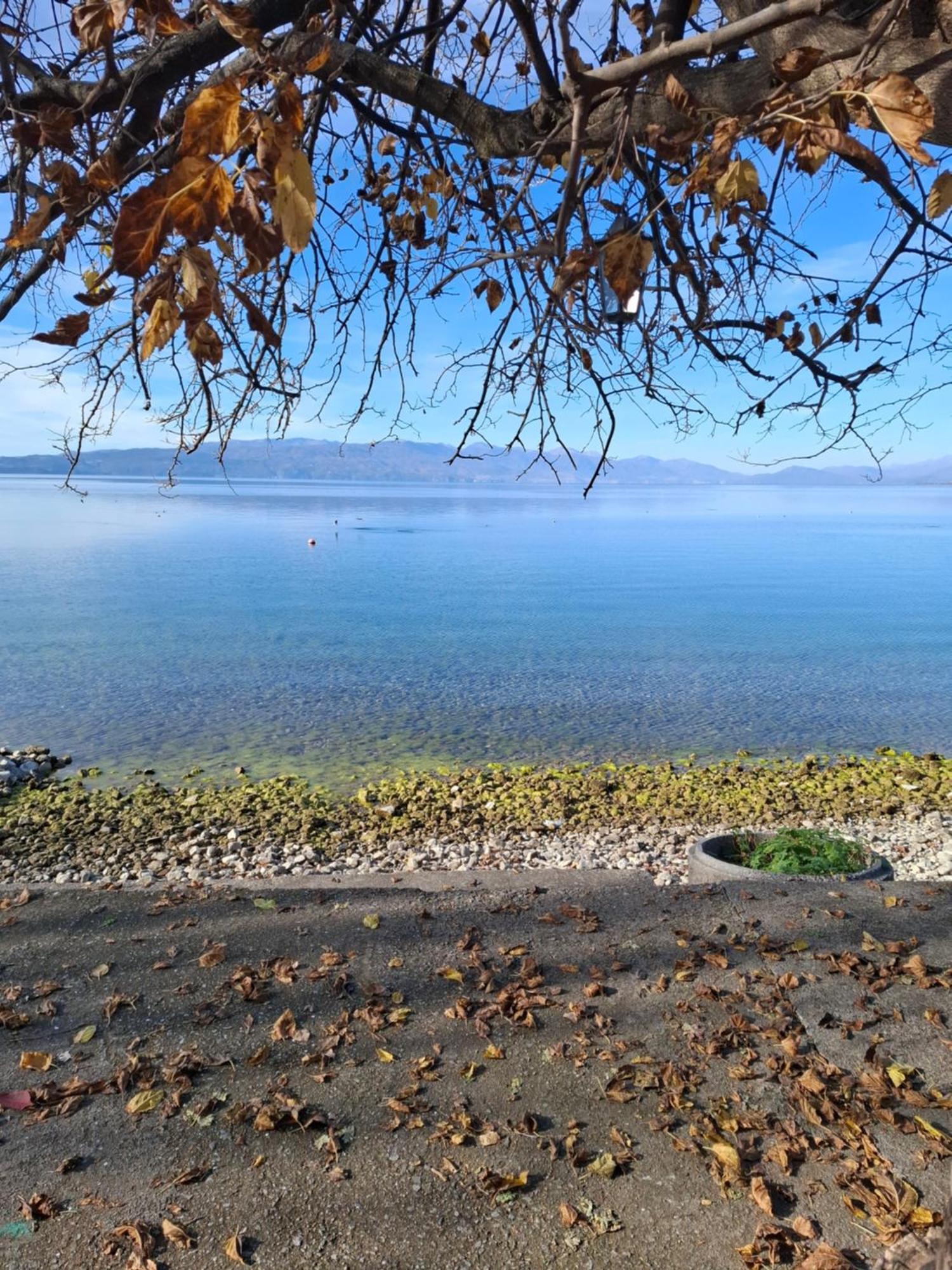 Apartments Villa Boris Ohrid Luaran gambar