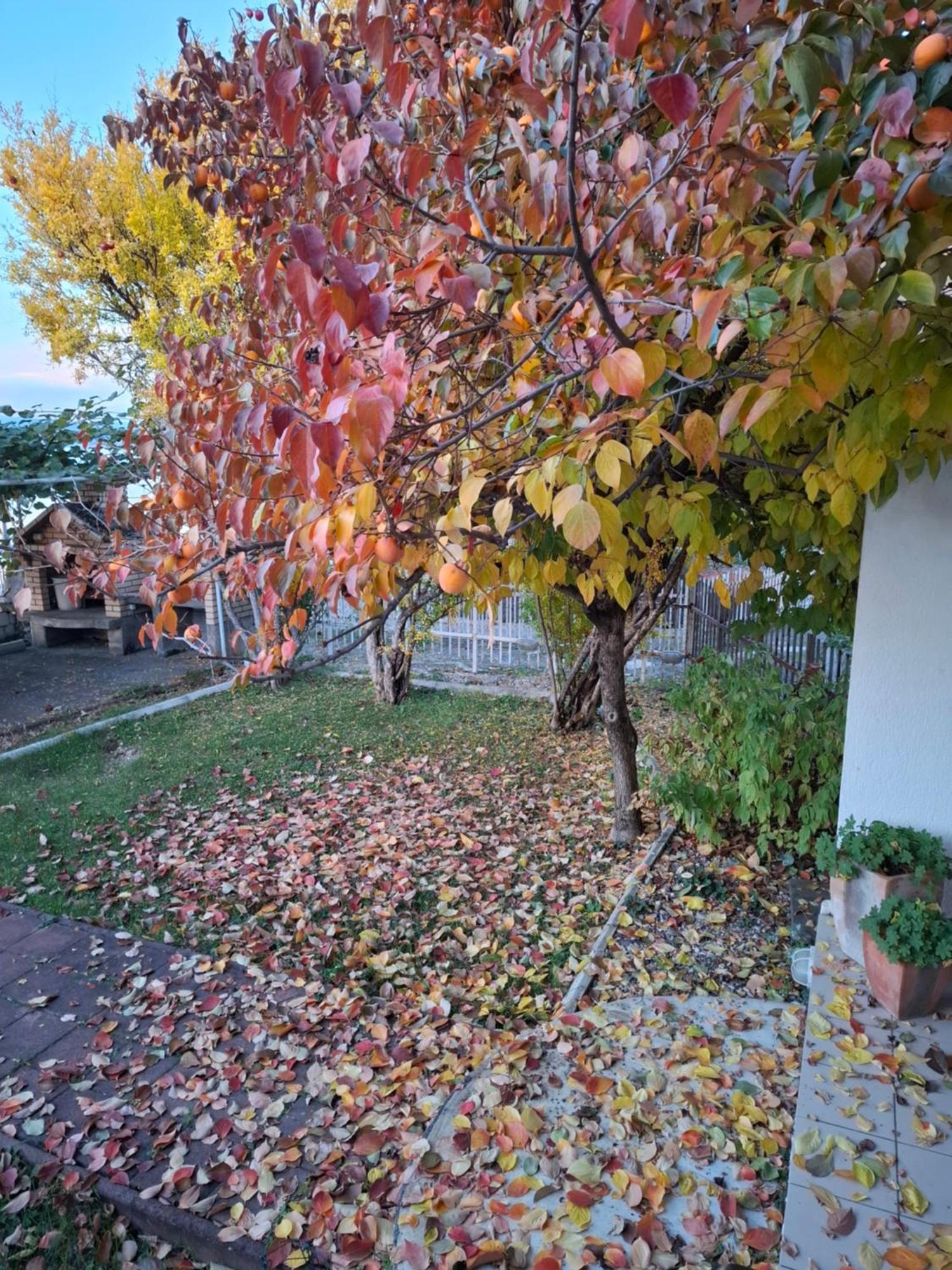 Apartments Villa Boris Ohrid Luaran gambar