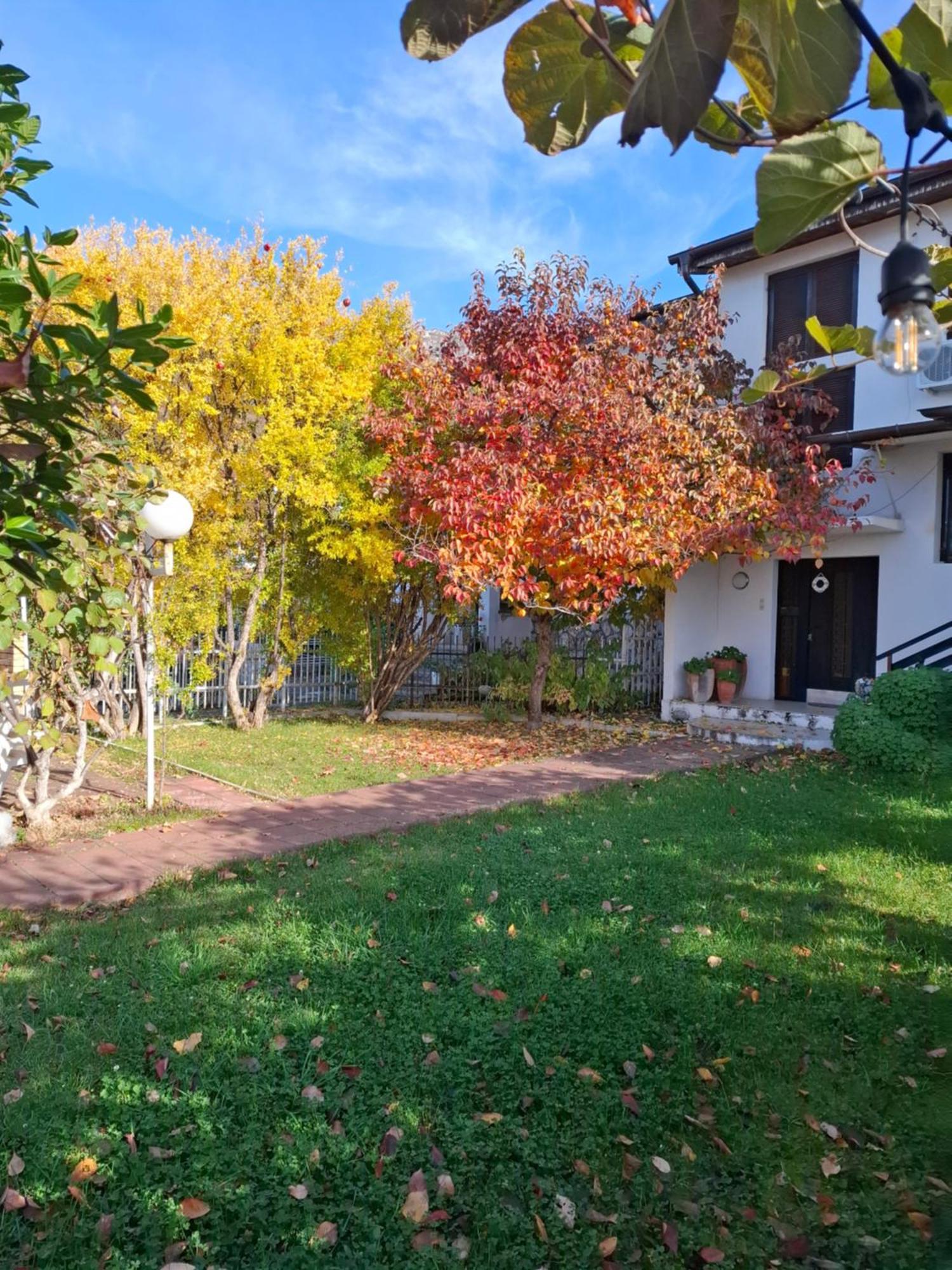 Apartments Villa Boris Ohrid Luaran gambar